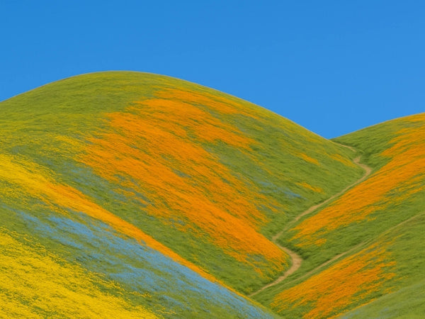 Grounding 101: recharge your body by reconnecting to the Earth