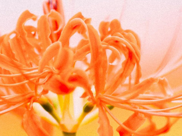 Why do my allergies spike in spring?