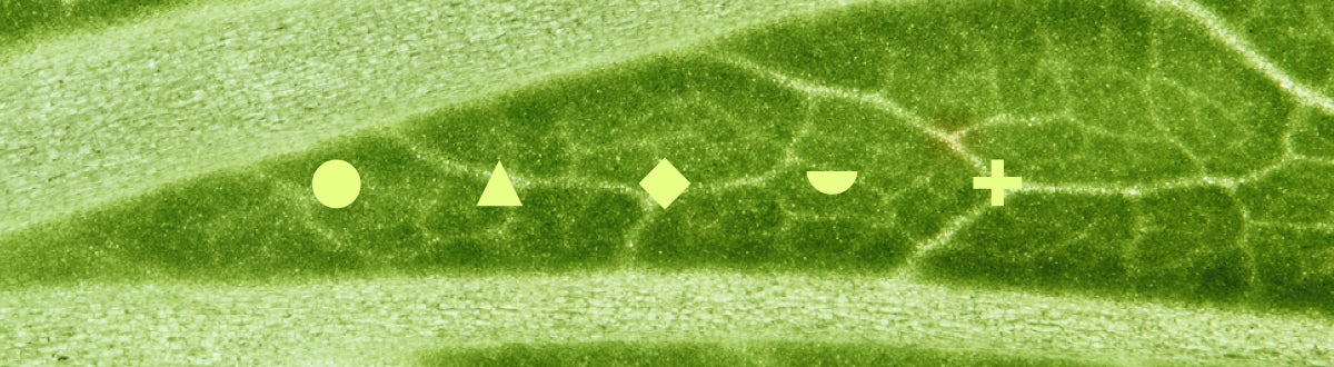 Science image