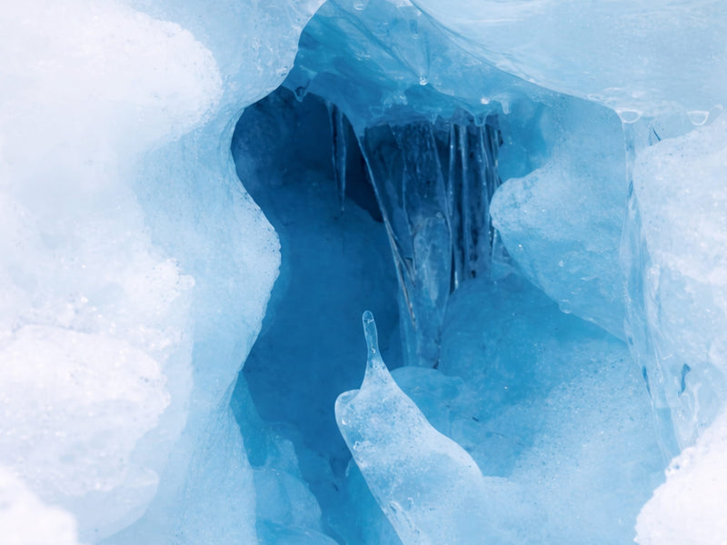 Your guide to immune resilience in the winter