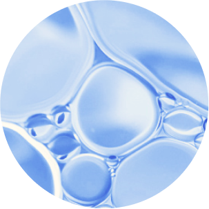 Cells