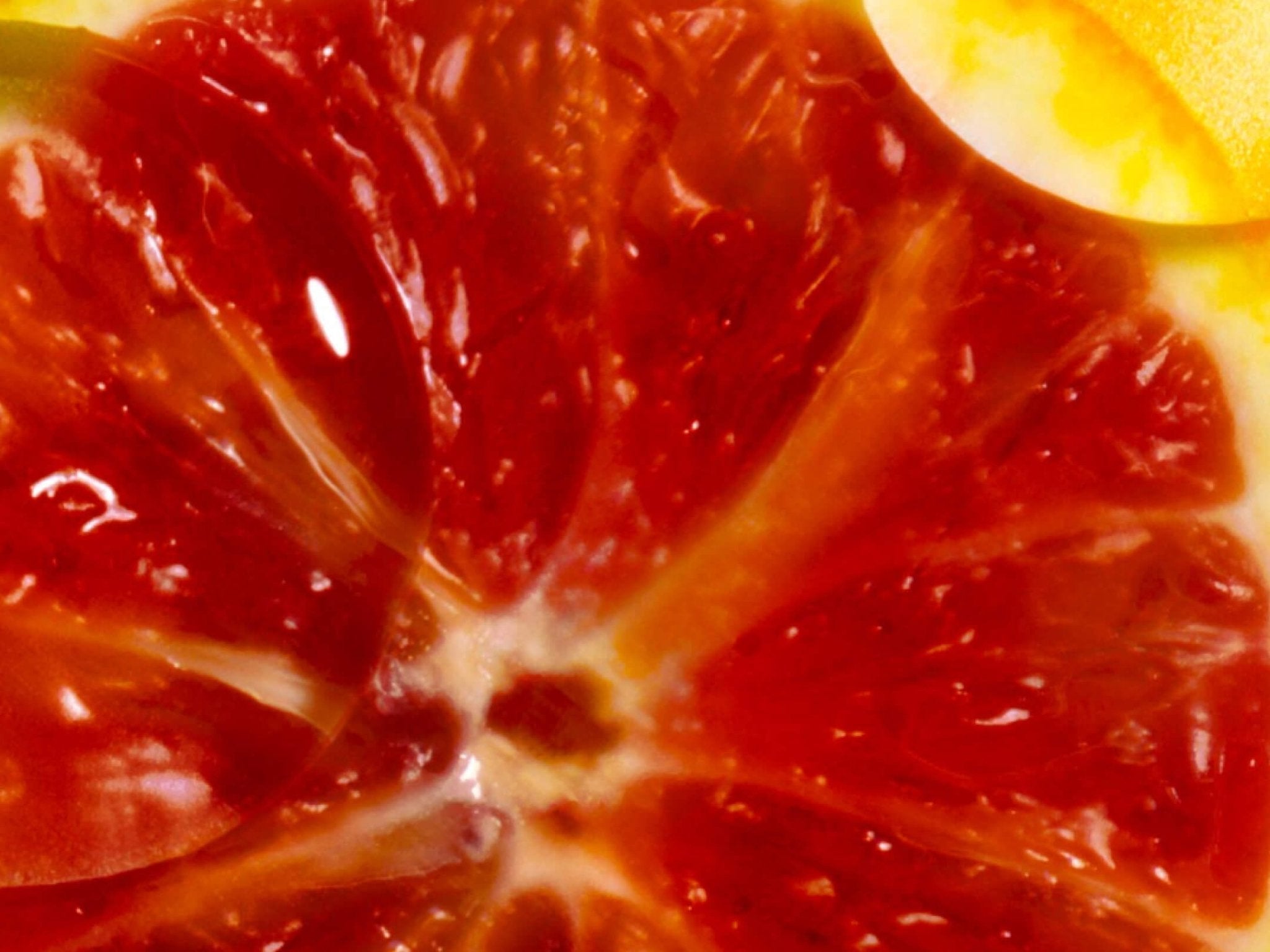 ARMRA® Blood Orange Spritz - ARMRA Colostrum