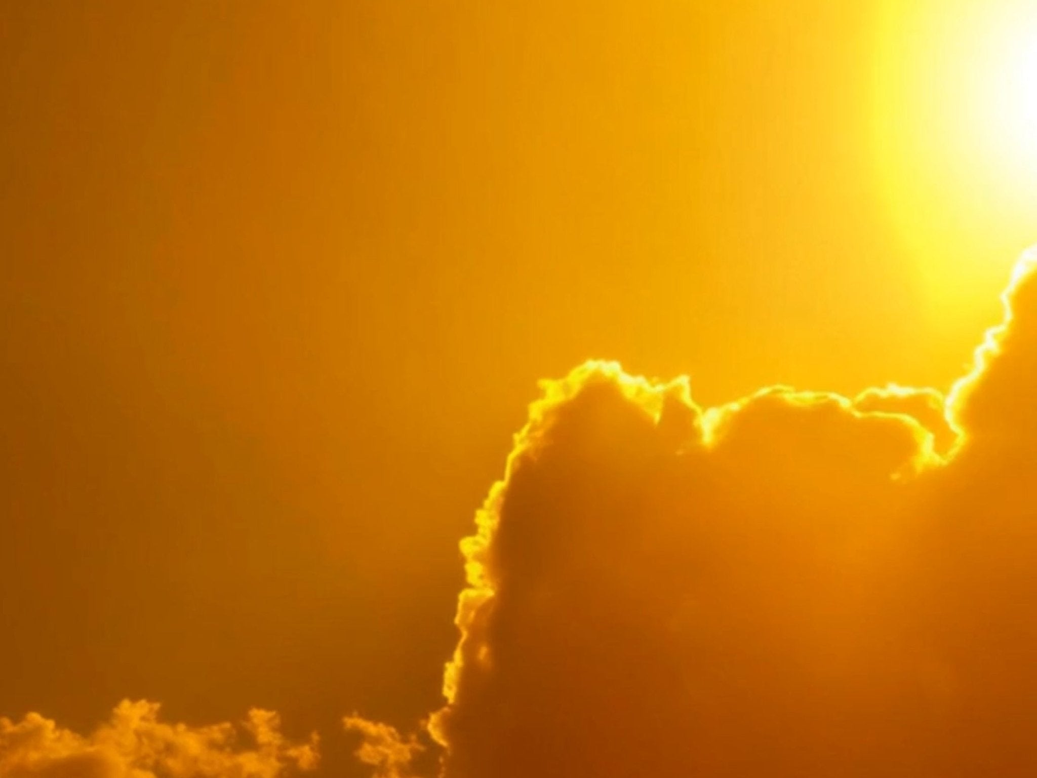 Back to brilliance: daily rituals for remembering - ARMRA Colostrum