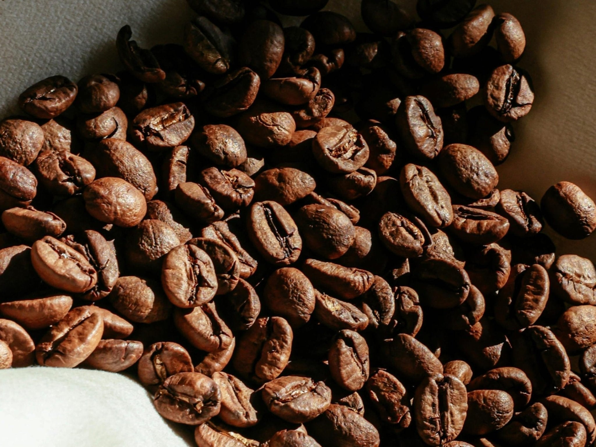 Mythbuster: Does coffee give you energy? - ARMRA Colostrum