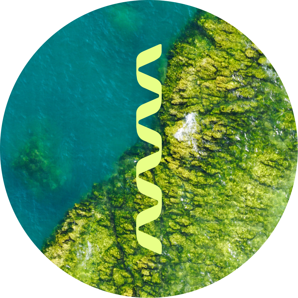 Wave design