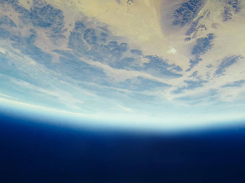 The metabolic magic hidden in winter darkness