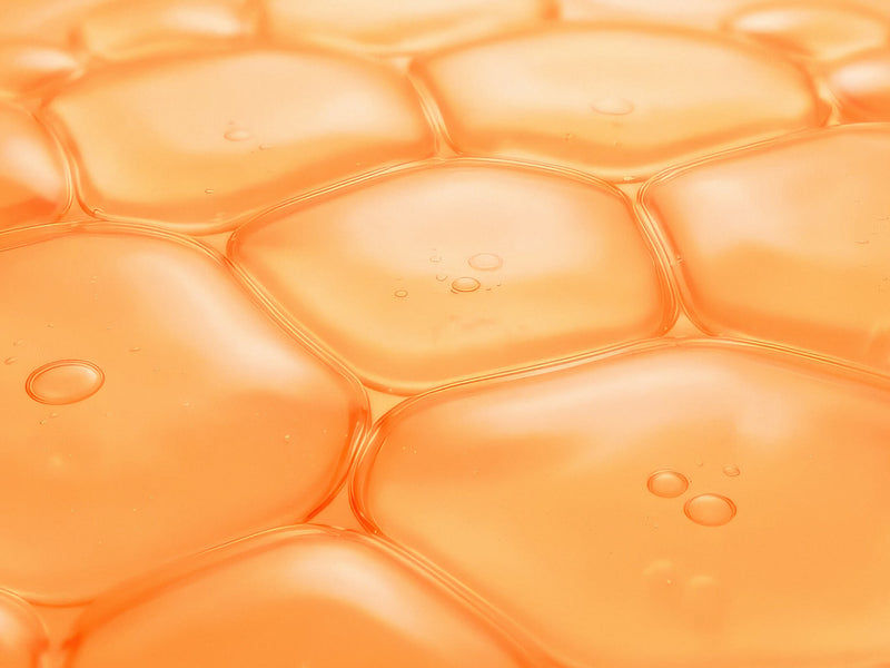 ARMRA® decoded: where your immune system really lives