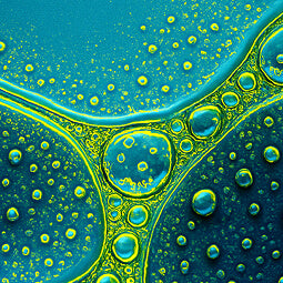 3 Ways ARMRA<sup>®</sup> <br>Helps Combat The Bloat