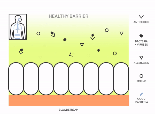 Healthy Barrier