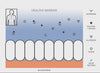 BARRIER_HOMEPAGE.mp4