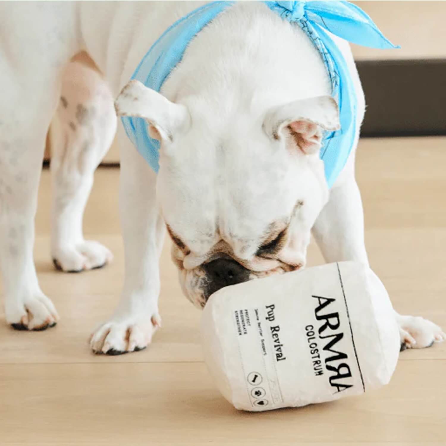 The ARMRA Pup Revival Dog Toy - ARMRA Colostrum